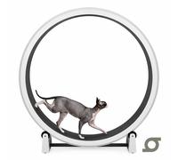 One Fast Cat Exercise Wheel - Gen 7 - 48 inches - White