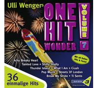 One Hit Wonder, Vol. 7