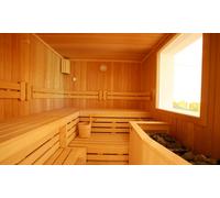 One Hour Infrared Sauna Session and Ice Bath Experience
