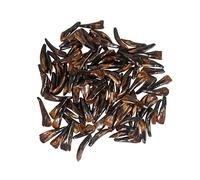 One Hundred (100) Assorted Random Drilled Genuine Dyed Dark Brown Water Buffalo Teeth