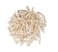 One Hundred (100) Assorted Random Drilled Genuine Whitened Water Buffalo Teeth