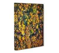 One Hundred Trees Canvas Print | Gallery Wrapped 30mm Frame Wall Art | 24x16 inches | Ready to Hang | Modern Landscape Picture | Living Room Bedroom Lounge Office