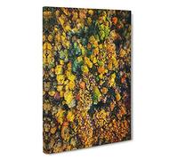 One Hundred Trees Canvas Print | Gallery Wrapped 30mm Frame Wall Art | 30x20 inches | Ready to Hang | Modern Landscape Picture | Living Room Bedroom Lounge Office