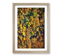 One Hundred Trees Framed Print | A2 Oak Framed Wall Art | Ready to Hang | Modern Floral Picture | Living Room Bedroom Lounge Office