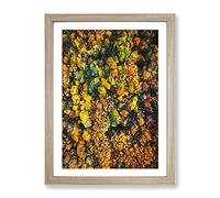 One Hundred Trees Modern Framed Print | A4 Oak Framed Wall Art | Ready to Hang | Modern Floral Picture | Living Room Bedroom Lounge Office