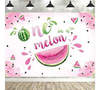 One in a Melon Photography Backdrop Watermelon 1st Birthday Photo Background Summer Fruit Girl's Themed First Birthday Baby Shower Party Supplies Photo Studio Props Decorations Banner
