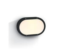 One Light Guard Outdoor Oval Flush Light - Black