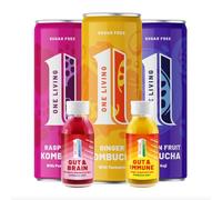 One Living Kombucha Gut Health Starter Bundle - Mixed Flavour Case - 12 x 250ml Cans and 20x 60ml Health Shot Bottles Great Tasting Kombucha
