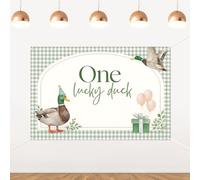 One Lucky Duck Backdrop,Duck First Birthday Decorations Green Grid Cute Duck Photography Background Farm Animal Birthday Backdrop for Boys Girls 1st Birthday Party Supplies
