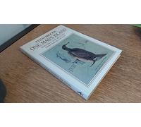 One Man's Island: Paintings and Sketches from the Isle of May