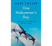 One Midsummer's Day: Swifts and the Story of Life on Earth
