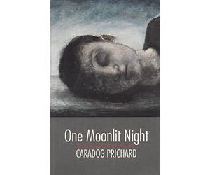 One Moonlit Night