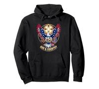 One Nation Under God America 250 Years USA Eagle Christian Pullover Hoodie