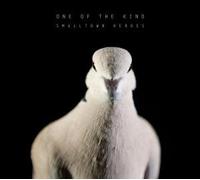 One of the Kind - Smalltown Heroes