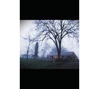 One of Their Own: Book 3 of The Consequence Series