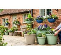 One or Two Glazed Effect Patio Pots or Hanging Baskets: Lindos Glazed Effect Planter/ Sage Green /One