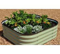 Original Veggie Bed Sage Garden Planting Mist Green Vegetable Planter Easy to Grow our Own 2x Veg Bed by Thompson and Morgan. (Mist Green) 40 x 130 x 90cm