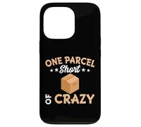 One Parcel Short of Crazy Funny Box Layout with Stars Case for iPhone 13 Pro