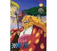 One Piece: Collection 31 (Episodes 747-770) - DVD - Crunchyroll