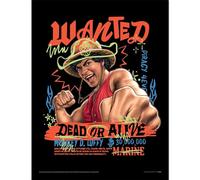 One Piece LIVE ACTION SERIES 2 (LUFFY GRAPHIC) COLLECTOR PRINT, 40cm x 30cm Collector Print, Official Licensed Premium Wall Art for Bedroom, Office or Gaming Room