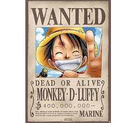 One Piece Wanted Poster Standard