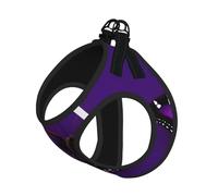 One Purple Plum Butterfly Printing Dog Summer Harness With Leash Set,Adjustable And Reflective Step-In Puppy Pet Vest Harnesses
