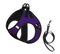 One Purple Plum Butterfly Printing Dog Summer Harness With Leash Set,Adjustable And Reflective Step-In Puppy Pet Vest Harnesses