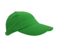 (One Size, Bottle Green) Result Unisex Heavy Cotton Premium Pro-Style Baseball Cap (Pack of 2)