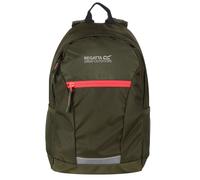 (One Size, Cypress Green/Diva Pink) Regatta Jaxon III Backpack (10 Litres)