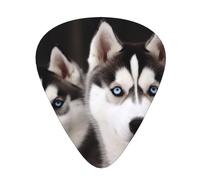 One Size Guitar Picks Bulk 3 Different Thickness Personalized Guitar Plectrums With Storage Box Husky Dog Guitar Accessories For Bass Electric Guitar Acoustic Guitar Lovers