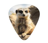 One Size Guitar Picks Bulk 3 Different Thickness Personalized Guitar Plectrums With Storage Box Meerkat Animal Guitar Accessories For Bass Electric Guitar Acoustic Guitar Lovers