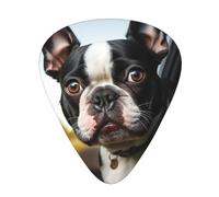 One Size Guitar Picks Bulk 3 Different Thickness Personalized Guitar Plectrums With Storage Box Puppy Dog Boston Terrier Guitar Accessories For Bass Electric Guitar Acoustic Guitar Lovers
