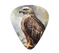 One Size Guitar Picks Bulk 3 Different Thickness Personalized Guitar Plectrums With Storage Box Watercolor Of Hawk Guitar Accessories For Bass Electric Guitar Acoustic Guitar Lovers