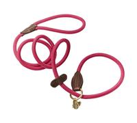 Digby & Fox Leather Dog Slip Lead ER2075