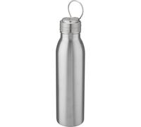 (One Size, Silver) Harper Stainless Steel 700ml Water Bottle