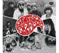 One step Beyond Sanity