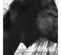 One Step Moreandyou Die-Newyor - Mono [VINYL]