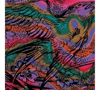 One Swallow Doesn't Make A Summer, Part 6 [VINYL]
