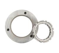 One Way Overrunning Starter Clutch Compatible With TR250 BJ250 250 BJ 250