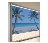 One-Way See-Through Curtain PVC Roller Shade Daytime Privacy Window Tint Reflective Pull Down Sun Blocking Blinds Thermal Insulated Film For Room Office Balcony(W110xH300cm)