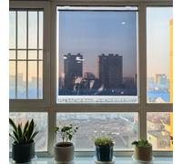 One Way See Through Privacy Shade Heavy Duty Thermal Insulation Mirrored Roller Shade Blackout Window Tint for Home Office Balcony No View Blocking 4cm Spring & White Flat(Black,W 110xH 200cm)