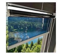 One-Way See Through Privacy Shade Thermal Insulation Mirrored Roller Shades Window Tint Roll Up Blackout No View Blocking Protection For Office Home Balcony(W140xH230cm)