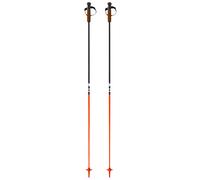 Fischer Gt 13 Comp Mag Poles Brown 120 cm Men,Women