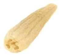 One Whole Egyptian Loofah 100% Natural SPA Beauty Bath Sponge Body Scrubber Puff. Premium Quality Lofa Loofa Luffa Loffa for exfoliating Your Skin.