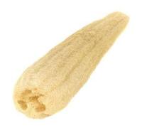 One Whole Egyptian Loofah 100% Natural SPA Beauty Bath Sponge Body Scrubber puff. Premium Quality Lofa Loofa Luffa Loffa for exfoliating your skin.