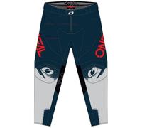 ONeal H027-1034 Hardwear Swipe Pants 34 Blue/Red