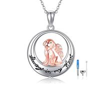 ONEFINITY Dog Urn Necklace for Ash 925 Sterling Silver Pet Ashes Necklace Dog Cremation Jewelry