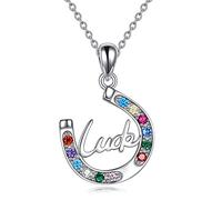 ONEFINITY Horseshoe Necklace Sterling Silver Colorful CZ Lucky Horseshoe Jewelry Gift for Men Women
