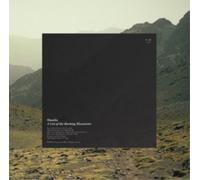Oneida - A List Of The Burning Mountains [VINYL]