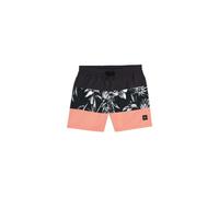 O'Neil Mix & Match Cali Block 13'' Swim Shorts Jr 92800613811